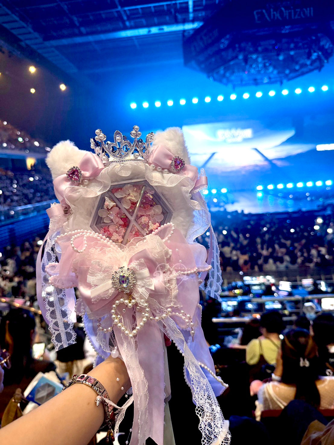 Lightstick Cover 💖Princess 💖  ( for all light sticks)